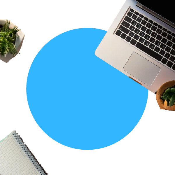 Birds eye view of a laptop, notepad and plant